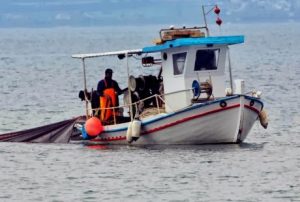 to_paixnidi_me_to-telos-plown