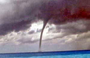 udostrobilos-anoixta-tis-rodou