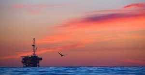 udrogonanthrakes_petrelaio_