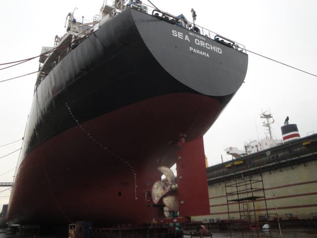 Φωτογραφία ημέρας - Vessel dd