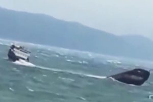 vithush_deksamenoploiou