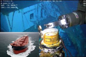 vithysh_stellar_daisy