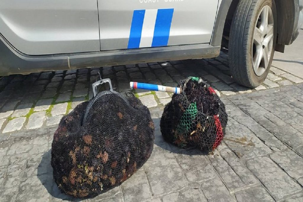 Στα «δίχτυα» των Λιμενικών Χαλκίδας, 32χρονος που ψάρευε αχινούς