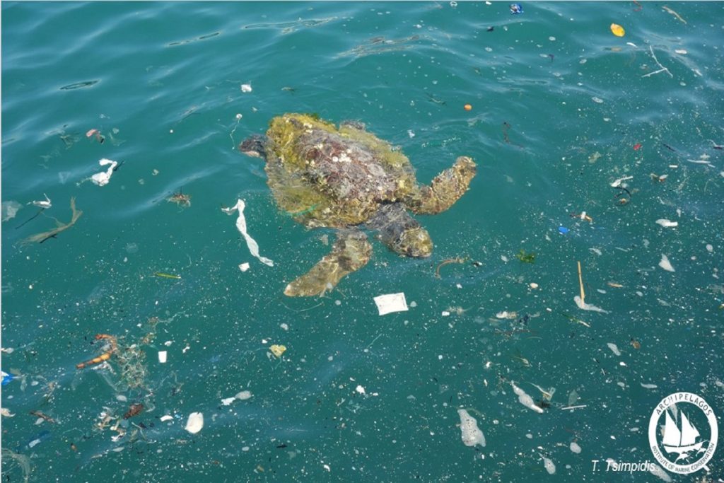 Η ανοιχτή χωματερή γύρω μας που παριστάνουμε ότι δεν την βλέπουμε