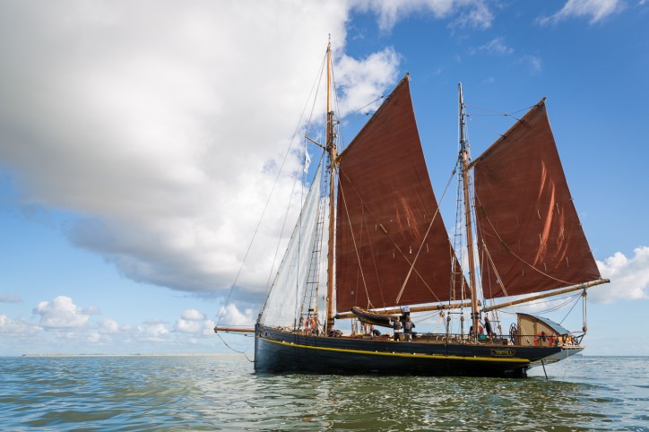 xtipithike_to_palaiotero_istioploiko_apo_psardiko4