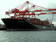 zim-anadiarthrwnei-2Bthn-2Buphresia-2Bame