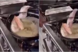 zontana_psaria_sto_tigani_