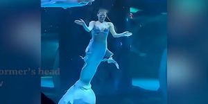 epithesi_psariou_se_gorgona