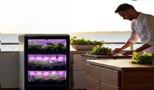 paragogh_trofimwn_sto_ploio