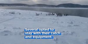 psarades_pagideumenoi_se_pagovouno