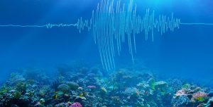 ti_ginetai_se_periptwsh_pou_ginei_seismos_sto_ploio