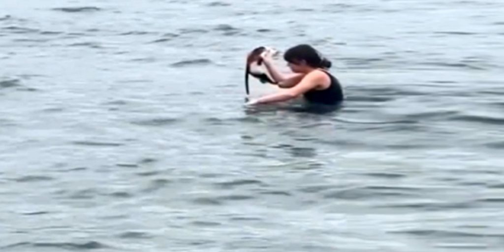 Κορίτσι βούτηξε στη θάλασσα και έσωσε τυφλό γατάκι από βέβαιο πνιγμό (video)