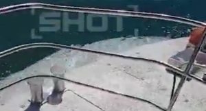 vithisi_ypovrixio_video