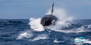 490120966_18498625750062851_2622790760791897916_n