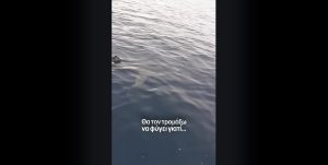 karxarias_stin_thalassa