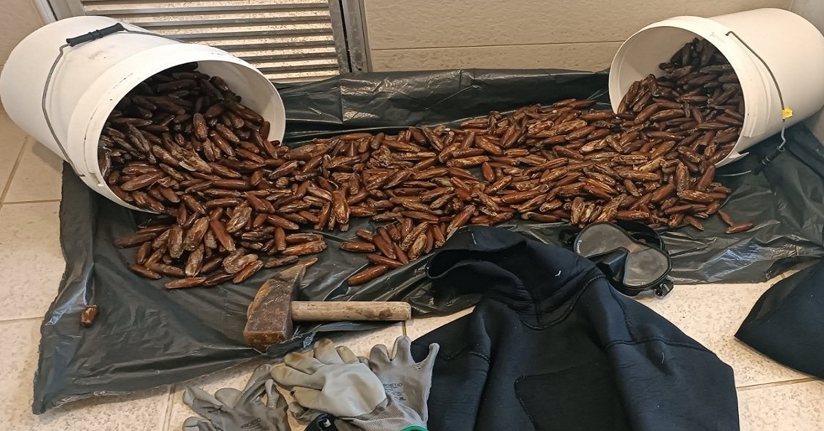 Κατάσχεση οστράκων σε υπόθεση παράνομης αλιείας οστρακοειδών στο Μεσολόγγι