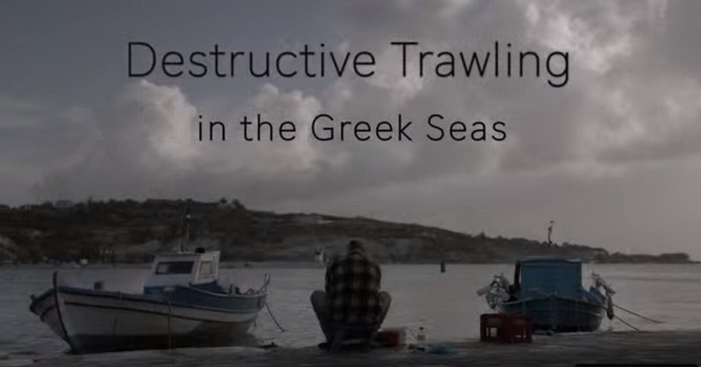 Καταστροφική Αλιεία στο Αιγαίο: Τροφοδοτόντας μία κρίση, περιβαλλοντική κοινωνική και διατροφική
