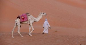 Το προσαραγμένο πλοίο MSC Antonia εμφανίζεται στη Σαχάρα λόγω GPS spoofing