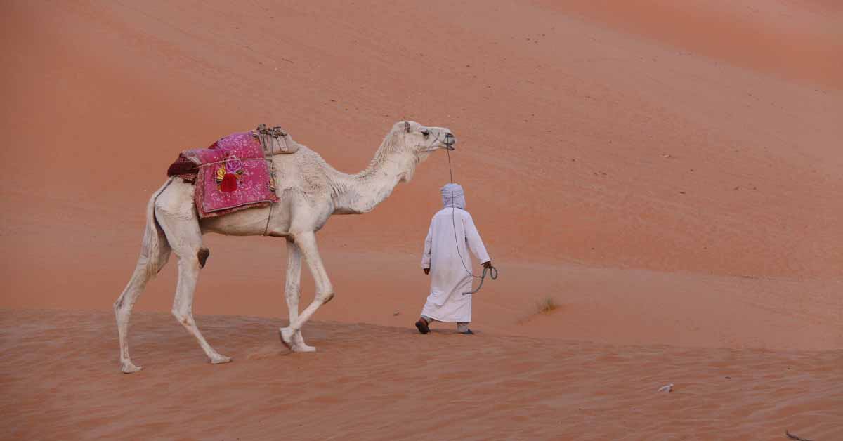 Το προσαραγμένο πλοίο MSC Antonia εμφανίζεται στη Σαχάρα λόγω GPS spoofing