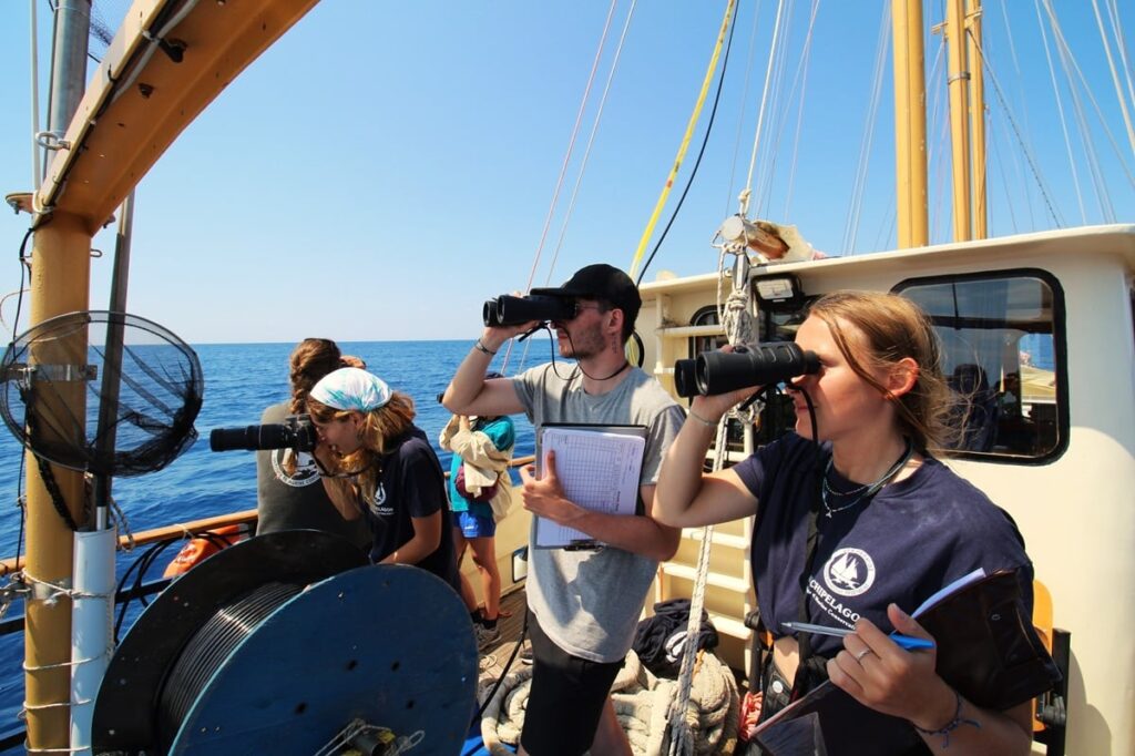  Φυσητήρες πάνω από την τάφρο της Ικαρίας