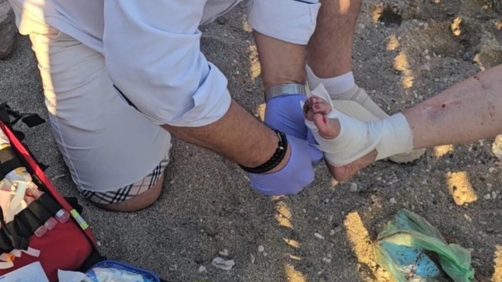 Θαλάσσια χελώνα