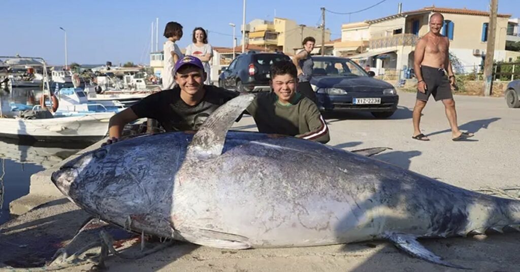 Τόνος 350 κιλών μοιράστηκε στους κατοίκους της Αγίας Ερμιόνης Χίου