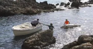 mesogeiaki_fokia_ (2)