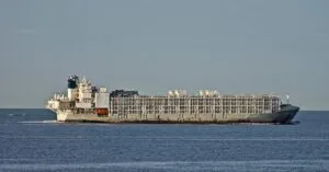 ploia_metaforas_zwwn