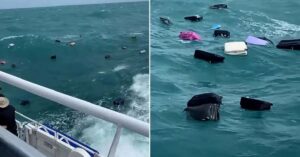 valitses_epivatwn_epesan_stin_thalassa