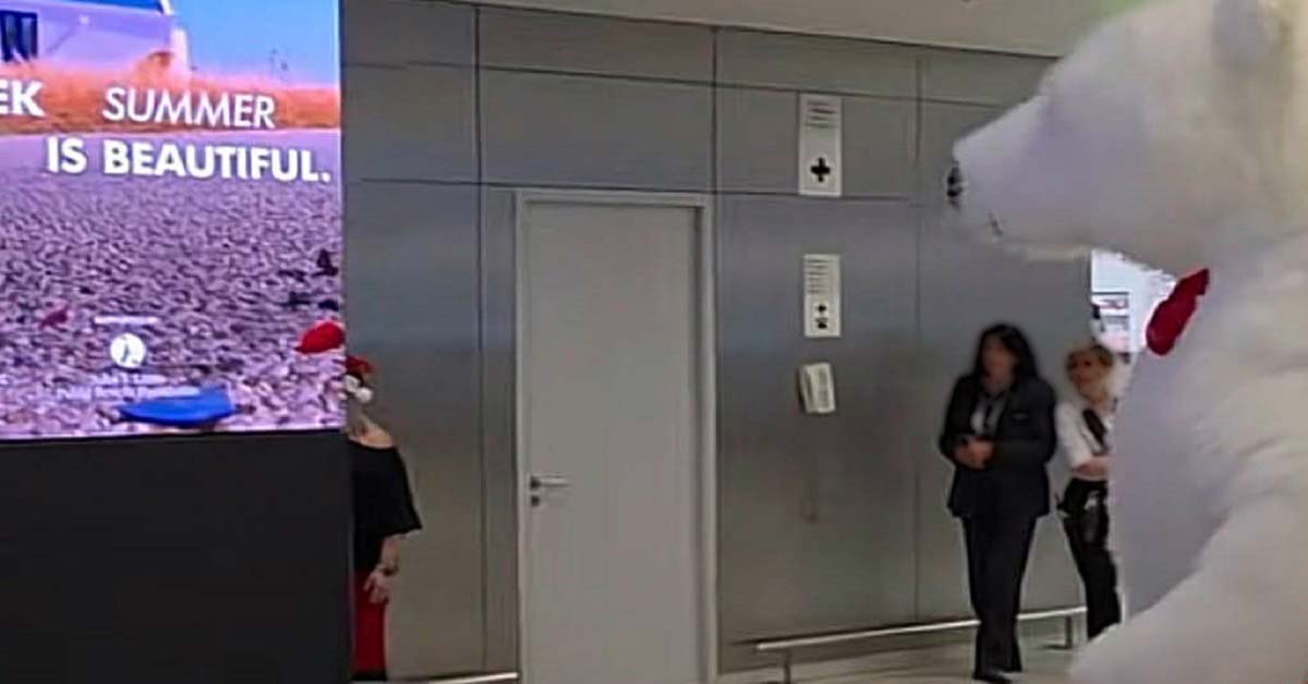 Δεν υπάρχει τίποτε καλύτερο για έναν ναυτικό από το ξέμπαρκο και την επιστροφή του στο σπίτι του, την οικογένεια και τους φίλους του.