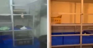 fagito_se_emporiko_ploio