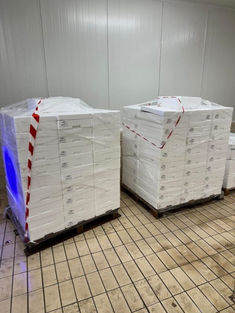 Παράνομη νυχτερινή αλιεία