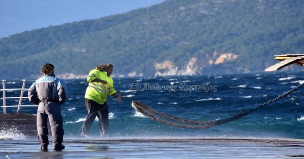 Αρχική Σελίδα