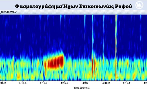 Γνωρίζατε ότι τα ψάρια… μιλάνε;