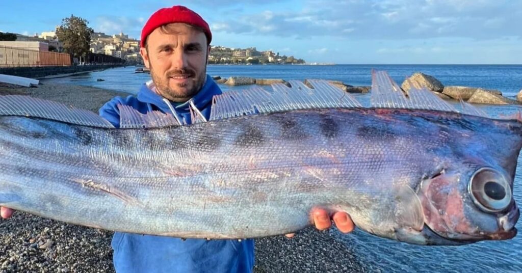 Αρχική Σελίδα