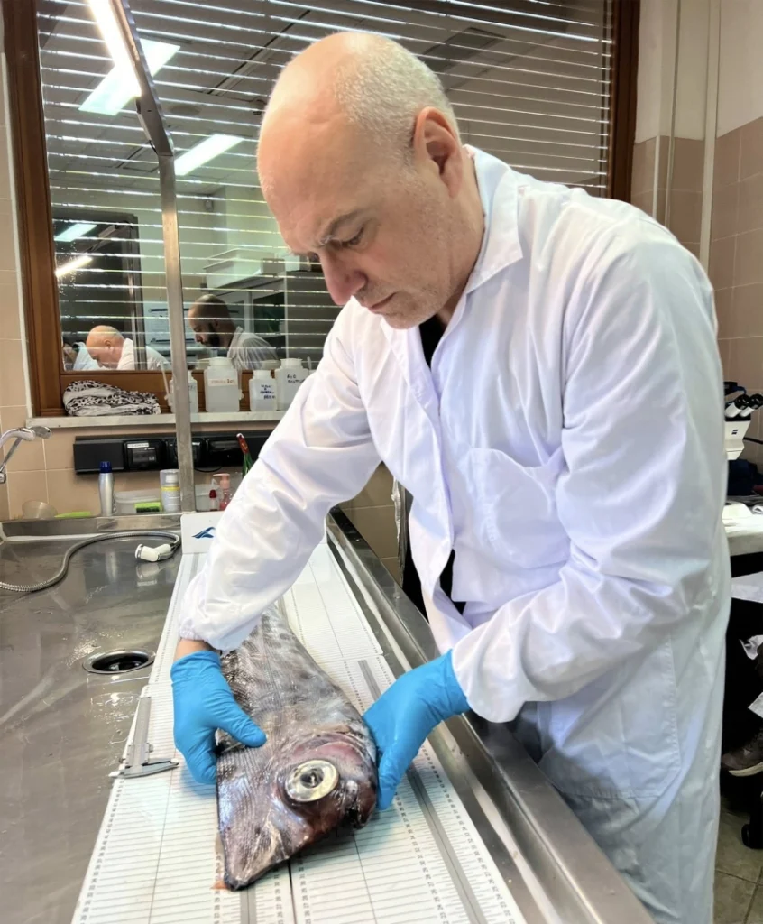 Σπάνιο ψάρι