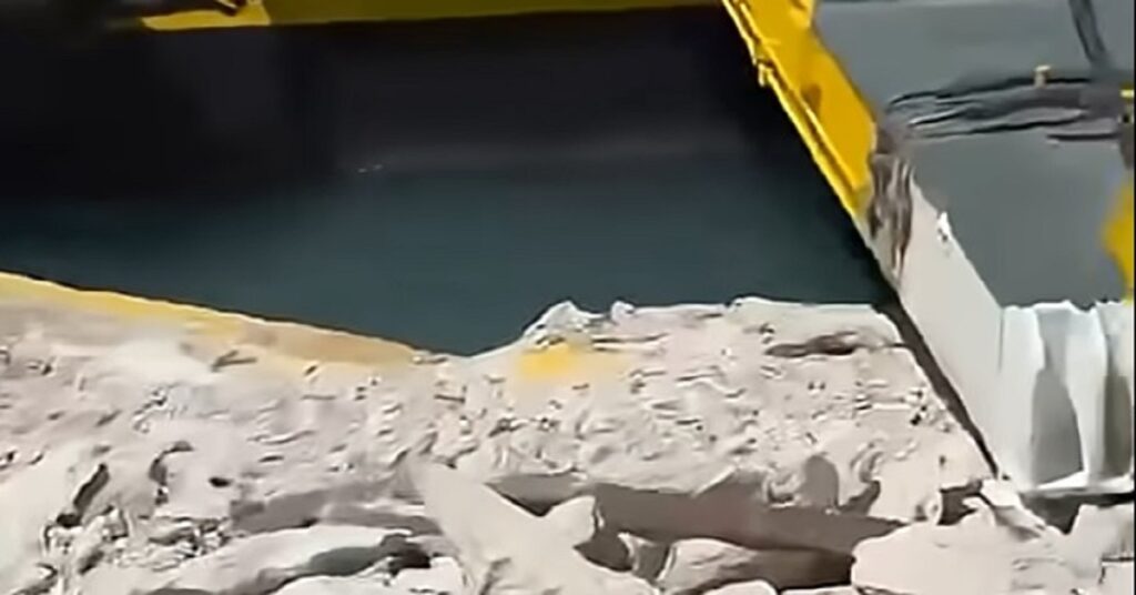 Πλοίο με 679 επιβάτες προσέκρουσε στο λιμάνι της Ζακύνθου
