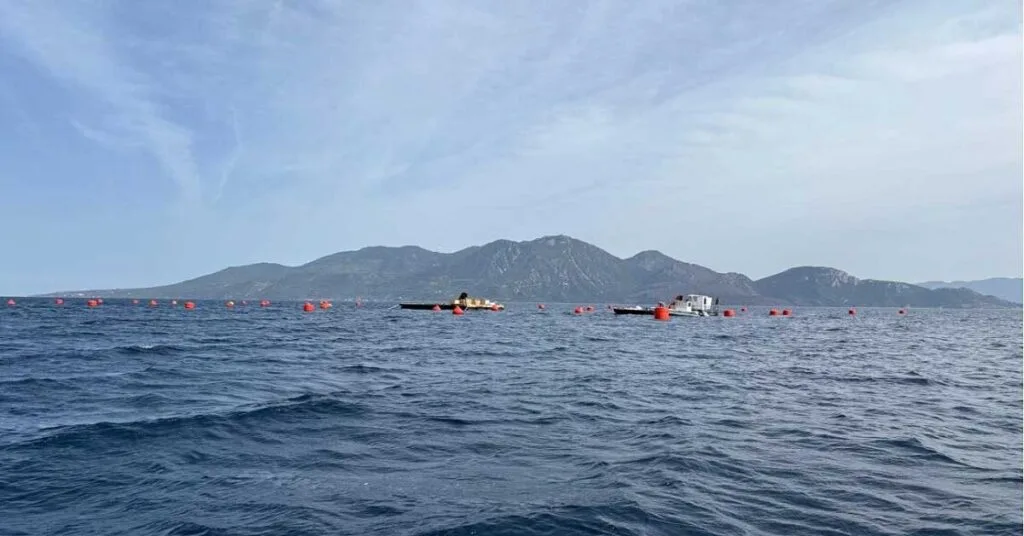 «Ταφόπλακα για τον Θαλάσσιο Τουρισμό στην Δωρούσα Αγκιστρίου» - Παρέμβαση Γ. Βαλλη για την Ιχθυοκαλλιέργεια