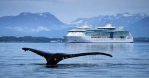 Κρουαζιερόπλοιο της Royal Caribbean έφτασε στην Αλάσκα με νεκρή φάλαινα στην πλώρη