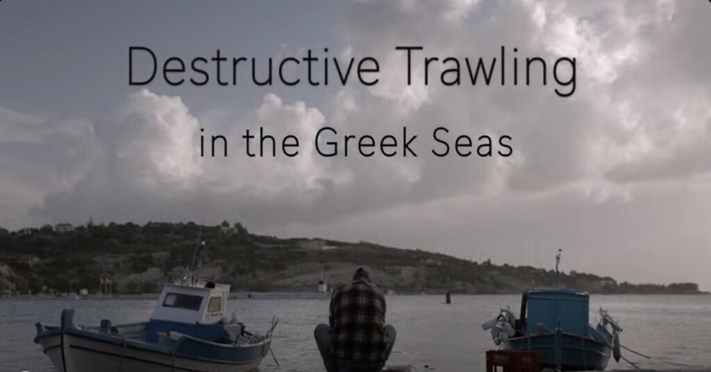 Καταστροφική αλιεία στο Αιγαίο: Τροφοδοτώντας μια περιβαλλοντική, κοινωνική και διατροφική κρίση