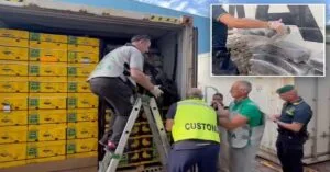 Πάνω από ένας τόνος κοκαΐνης βρέθηκε μέσα σε φορτία μπανάνας σε πλοίο ψυγείο