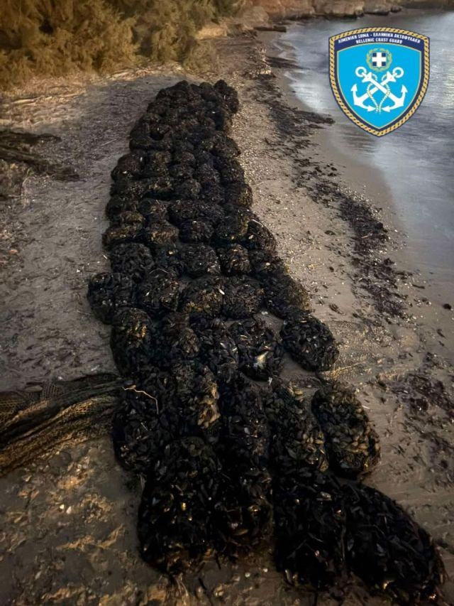 όστρακα