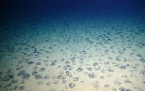 eirinikos_okeanos_